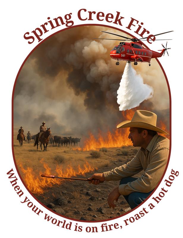 2025 Spring Creek Fire - When Your World Is on Fire, Roast a Hot Dog - Tshirt